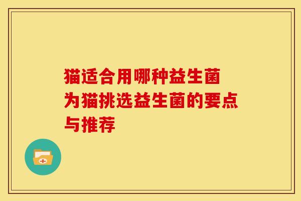 猫适合用哪种益生菌 为猫挑选益生菌的要点与推荐