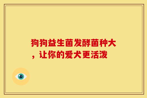 狗狗益生菌发酵菌种大，让你的爱犬更活泼