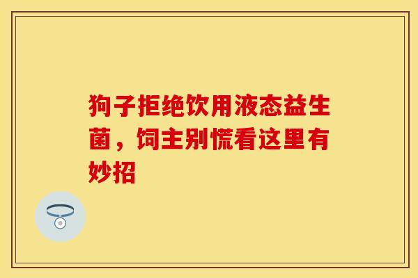 狗子拒绝饮用液态益生菌，饲主别慌看这里有妙招