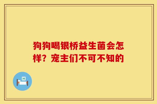 狗狗喝银桥益生菌会怎样？宠主们不可不知的