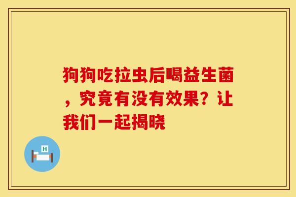 狗狗吃拉虫后喝益生菌，究竟有没有效果？让我们一起揭晓