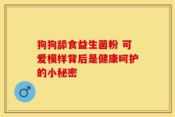 狗狗舔食益生菌粉 可爱模样背后是健康呵护的小秘密
