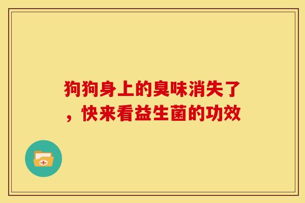 狗狗身上的臭味消失了，快来看益生菌的功效