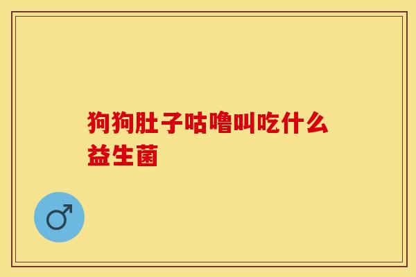狗狗肚子咕噜叫吃什么益生菌