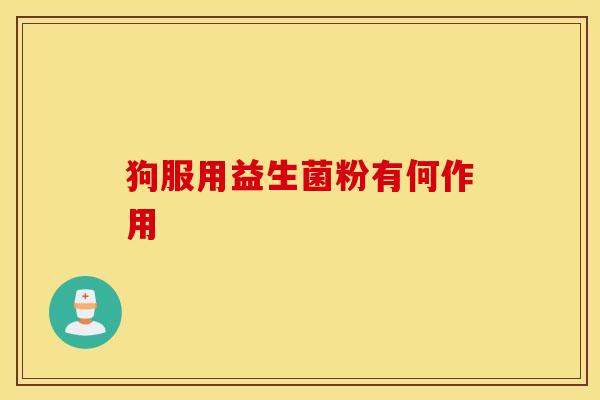 狗服用益生菌粉有何作用