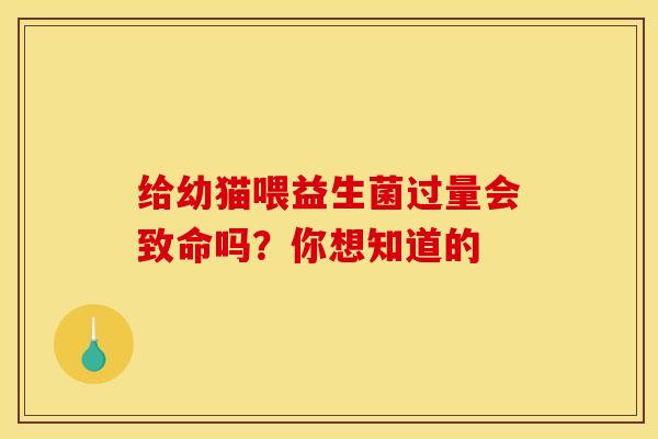 给幼猫喂益生菌过量会致命吗？你想知道的