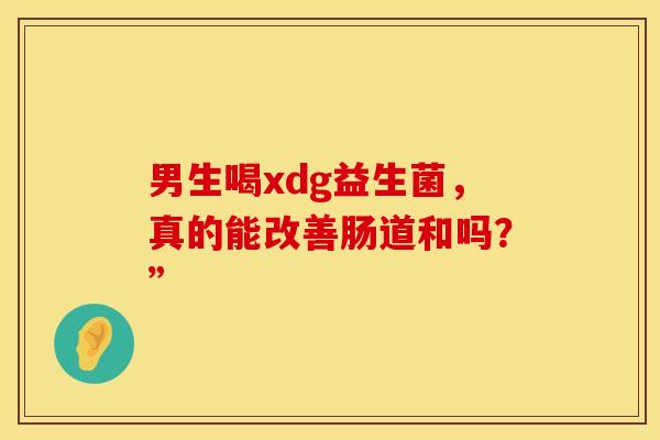 男生喝xdg益生菌，真的能改善肠道和吗？”