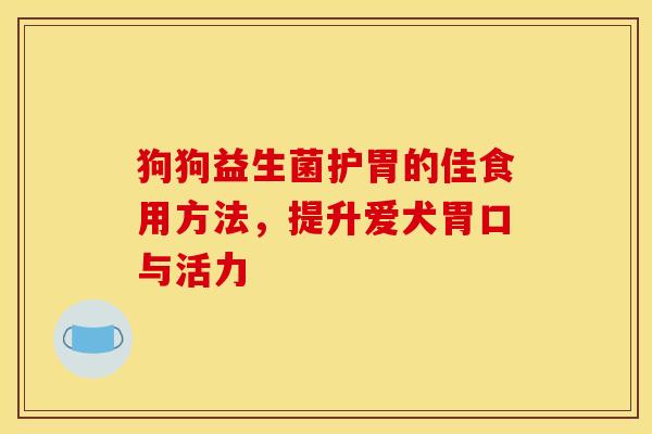 狗狗益生菌护胃的佳食用方法，提升爱犬胃口与活力