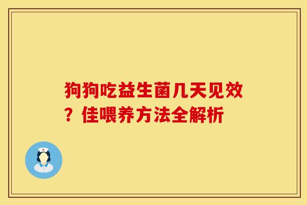 狗狗吃益生菌几天见效？佳喂养方法全解析