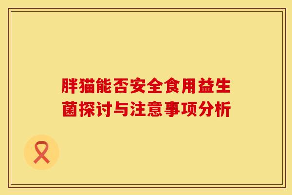 胖猫能否安全食用益生菌探讨与注意事项分析