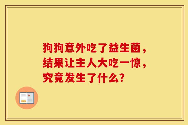 狗狗意外吃了益生菌，结果让主人大吃一惊，究竟发生了什么？