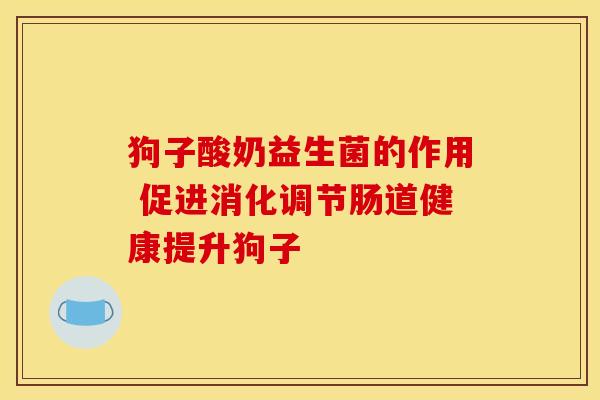 狗子酸奶益生菌的作用 促进消化调节肠道健康提升狗子