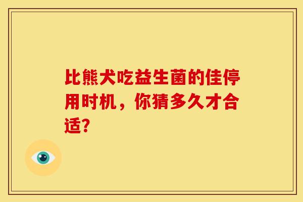 比熊犬吃益生菌的佳停用时机，你猜多久才合适？