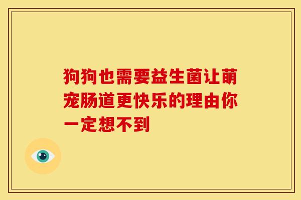 狗狗也需要益生菌让萌宠肠道更快乐的理由你一定想不到 狗狗也需要益生菌让萌宠肠道更快乐的理由你一定想不到