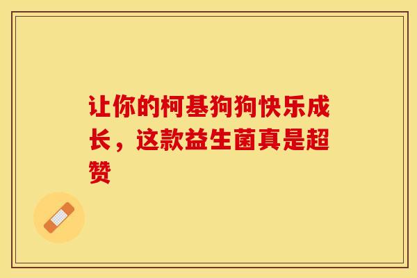 让你的柯基狗狗快乐成长，这款益生菌真是超赞