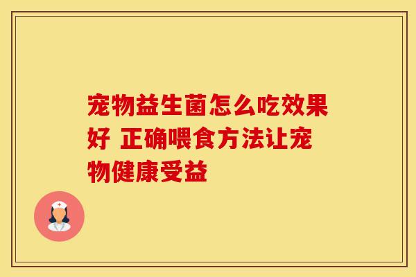 宠物益生菌怎么吃效果好 正确喂食方法让宠物健康受益