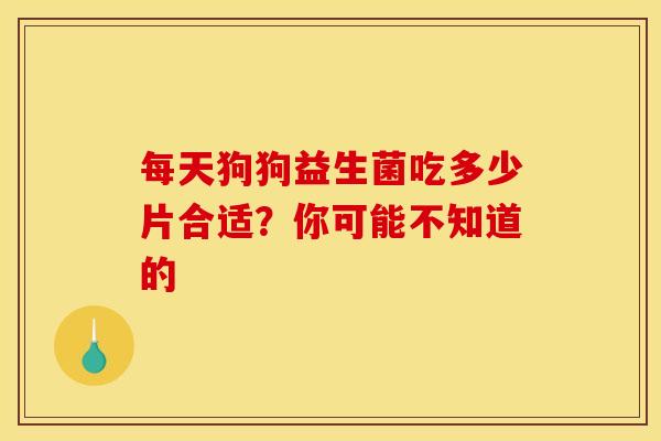 每天狗狗益生菌吃多少片合适？你可能不知道的