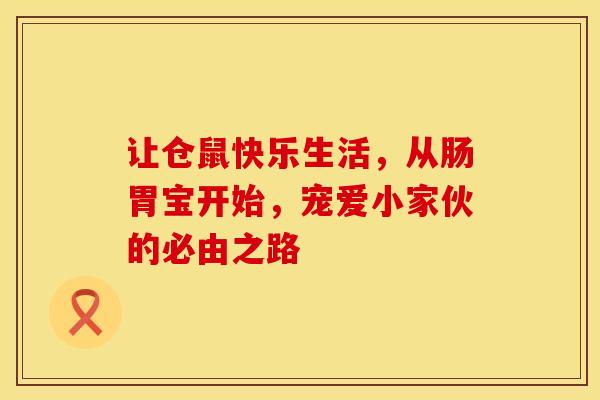 让仓鼠快乐生活，从肠胃宝开始，宠爱小家伙的必由之路