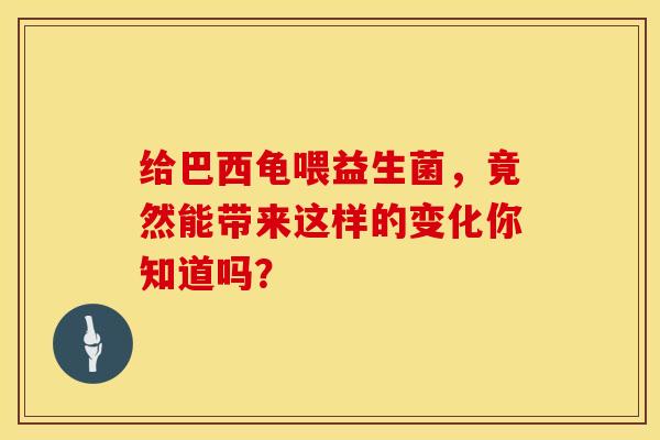 给巴西龟喂益生菌，竟然能带来这样的变化你知道吗？