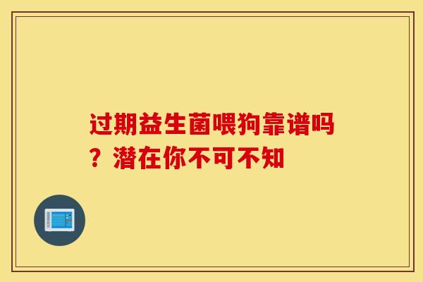 过期益生菌喂狗靠谱吗？潜在你不可不知