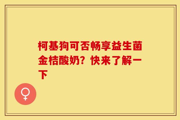 柯基狗可否畅享益生菌金桔酸奶？快来了解一下